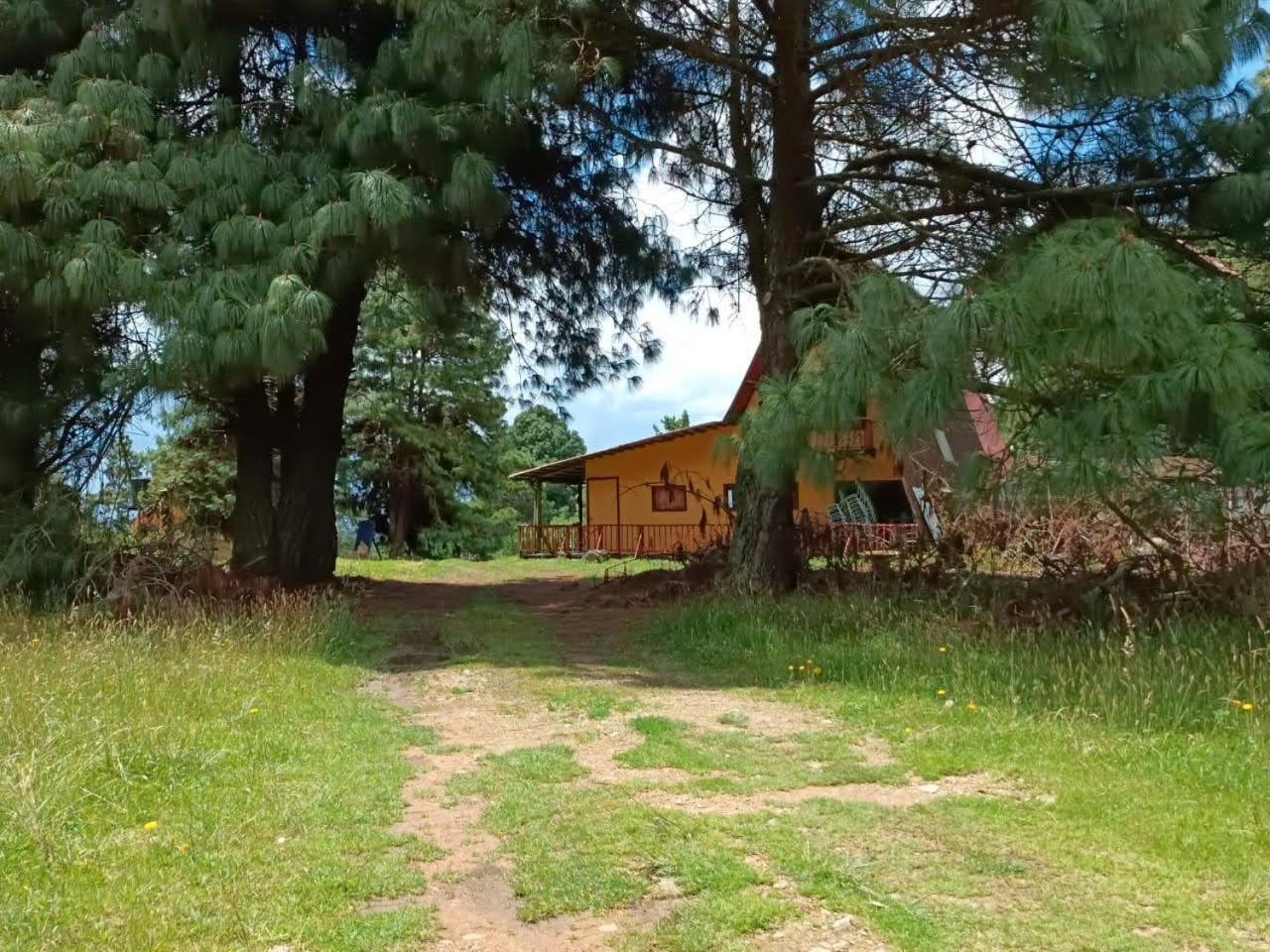 Chalets Amarelo Suesca Zewnętrze zdjęcie